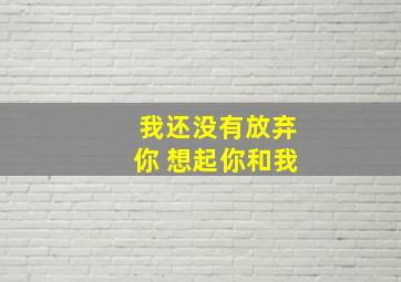 我还没有放弃你 想起你和我